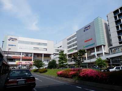 Shopping centre. 780m until Fields (shopping center)
