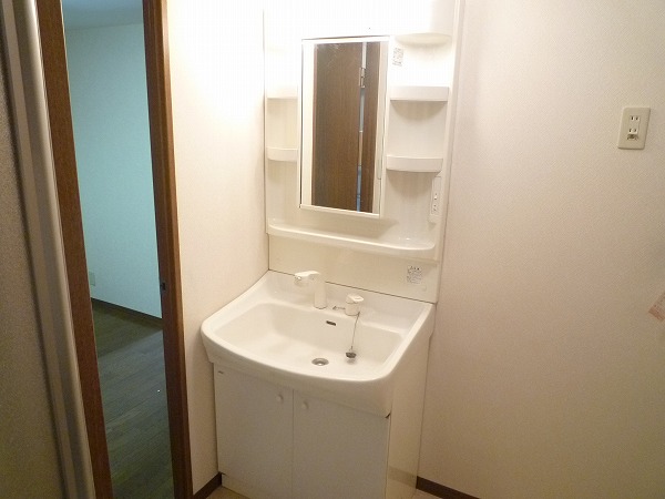 Washroom. Shampoo dresser.