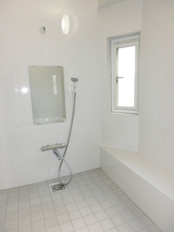 Bath. Bathroom of new