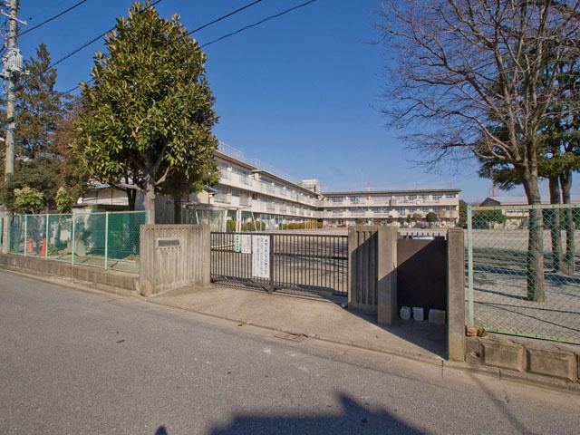 Primary school. Kashiwashiritsu pine needle 991m until the second elementary school