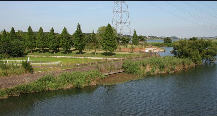 park. 1223m to Kashiwa Furusato Park