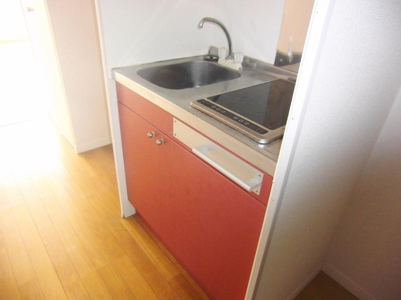 Kitchen. Two-burner IH with stove