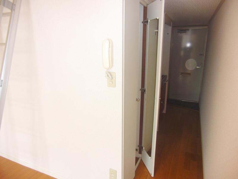 Receipt. Closet type, Full-length mirror with storage