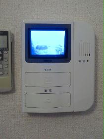 Other. Monitor with intercom