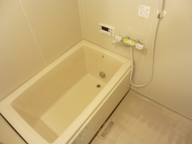 Bath. Hot water (with additional heating function)