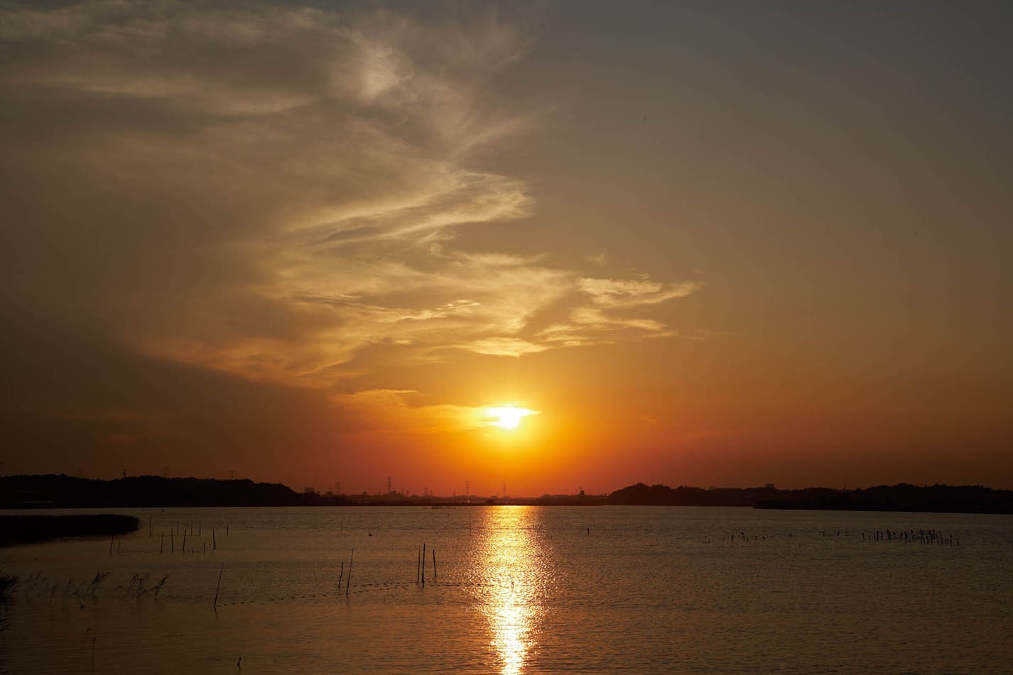 Other Environmental Photo. Is try to go out of about 8 minutes in the car to "Teganuma park" on the weekend 4680m extending the leg in the family