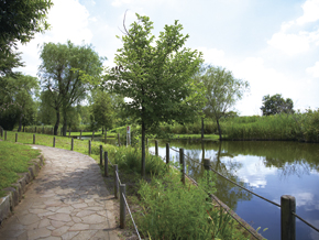 Other Environmental Photo. Enjoy a "Kitakashiwa hometown park" to 2180m (about 9 minutes by bicycle) seasons of landscape, Also suitable for a walk dog