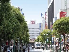 Other Environmental Photo. "Howdy mall" it is often likened to the "Shibuya of the east", Shopping street that extends from Kashiwa Station East Exit. Crowded with a lot of people lined with colorful shops.