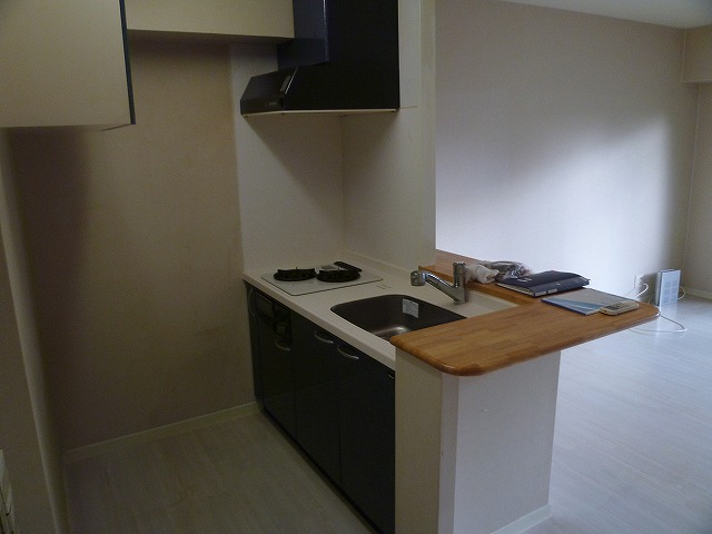 Kitchen. Kitchen