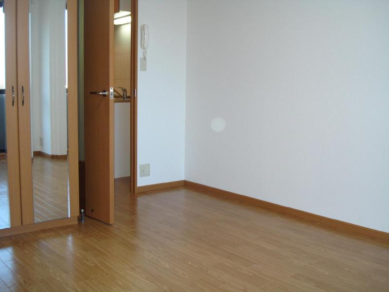Living and room. Clean flooring