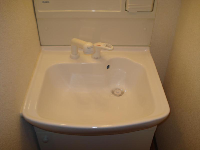 Washroom. Shampoo dresser