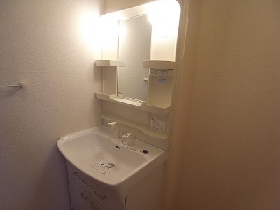 Washroom. Shampoo dresser.