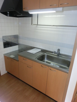 Kitchen. Gas stove installation Allowed