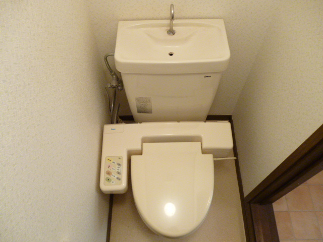Toilet. With warm water washing toilet seat toilet