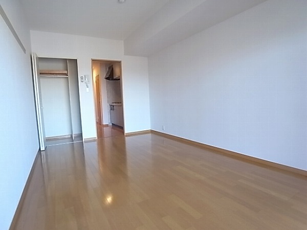 Living and room. Living