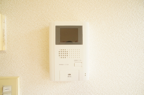 Security. TV Intercom