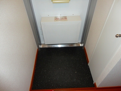 Entrance. Delivery Box with