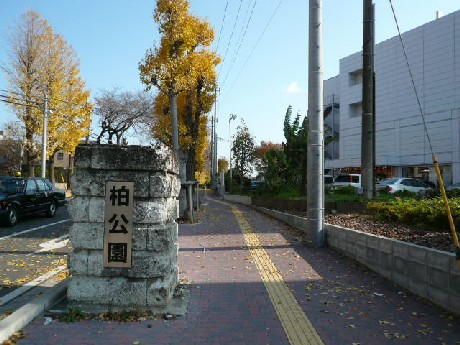 park. 969m to Kashiwa park (park)