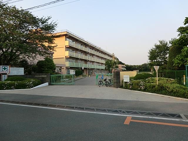 Primary school. Kashiwashiritsu Sakasai until elementary school 1650m
