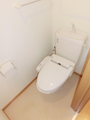 Toilet. Washlet toilet