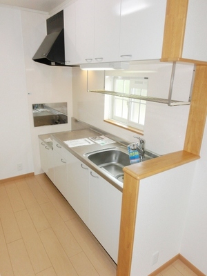 Kitchen. Kitchen space