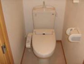 Toilet. With Washlet