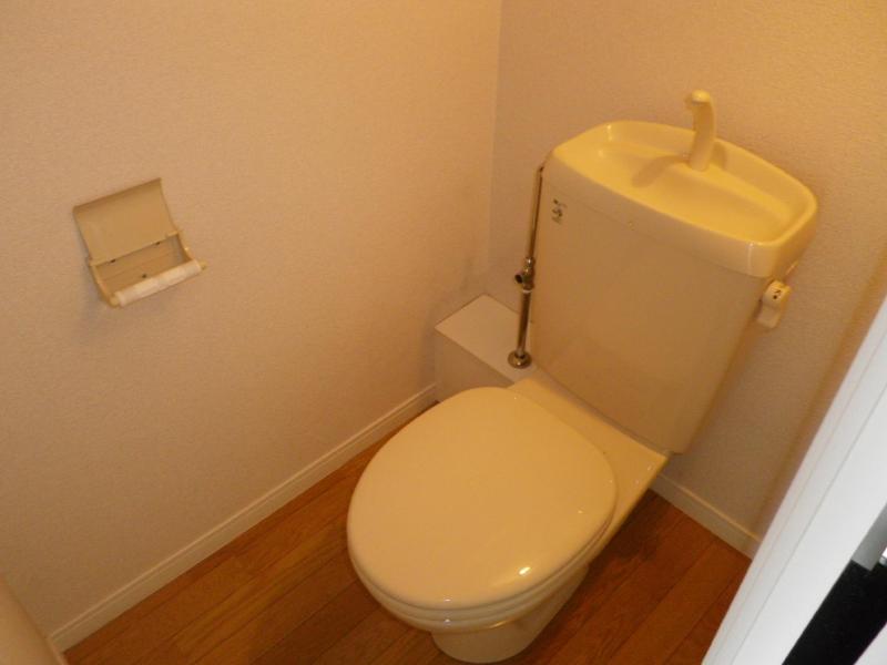 Toilet. Beautiful toilet