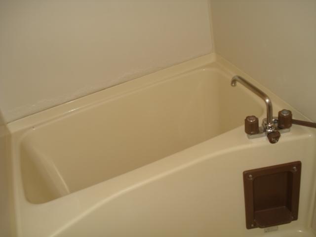 Bath. Spacious bathtub