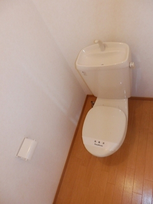 Toilet. Toilet