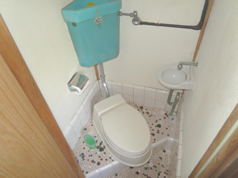 Toilet. Clean toilet