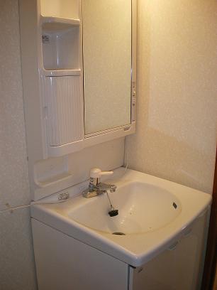Washroom. Wash basin