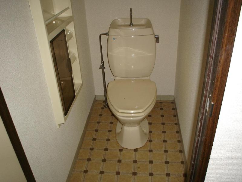 Toilet. Beautiful toilet.