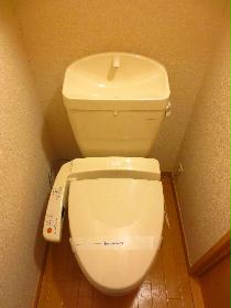 Toilet. Hot-water washing machine