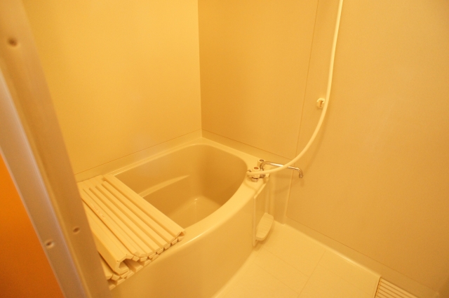 Bath. Bathtub also spacious