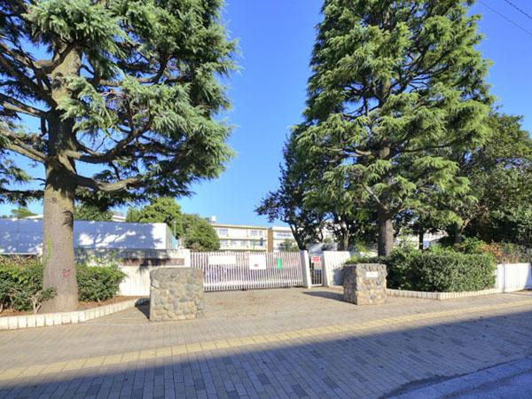 Primary school. Kashiwa TatsuKashiwa 550m until the fifth elementary school