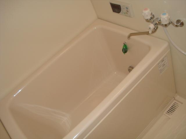 Bath. Spacious bathtub