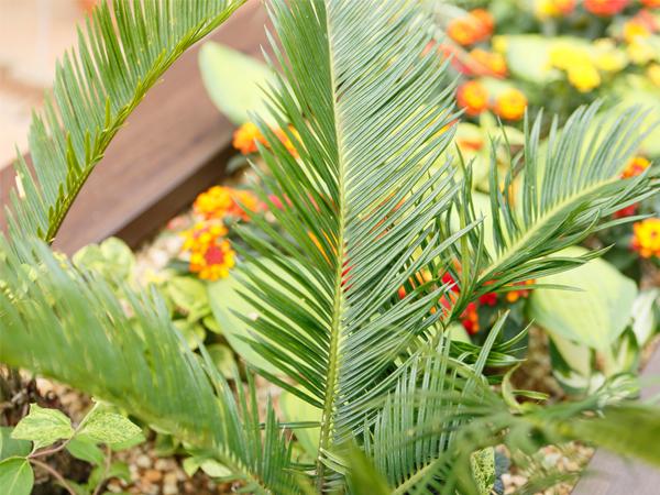 Other. Model house Exterior image photo