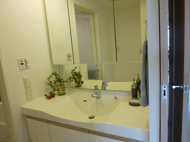 Wash basin, toilet. Indoor (November 1, 2013) Shooting