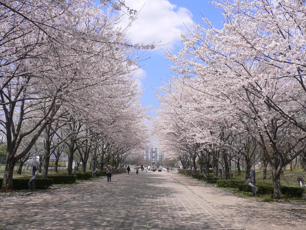 park. 290m until Kashiwanoha park