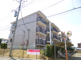 Building appearance