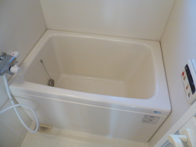 Bath. Hot water supply (with add-fired function)
