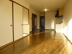 Living and room. Spacious LDK (14 quires)