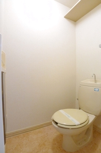 Toilet. Put also put toilet paper stock up, Yes storage rack!
