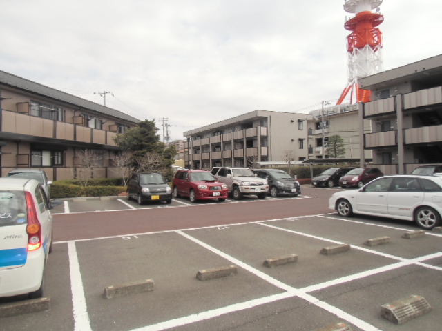 Parking lot. Spacious parked easy parking