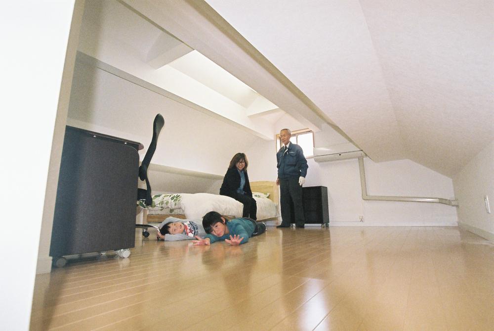 Other introspection. Attic about 12 Pledge