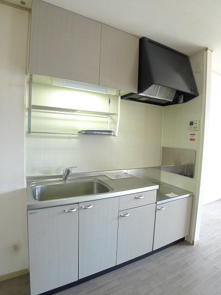 Kitchen. Gas stove installation Allowed