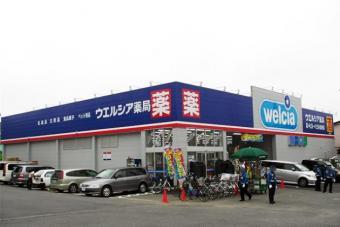Drug store. Uerushia 242m to Kashiwa Sakaine shop