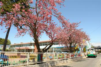 kindergarten ・ Nursery. Second Masuo to kindergarten 688m