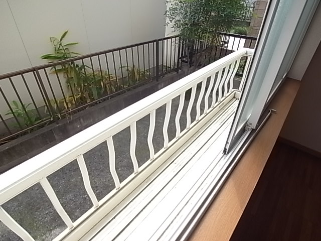 Balcony. Veranda