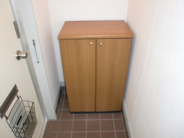 Entrance. Shoe box is also firmly equipped